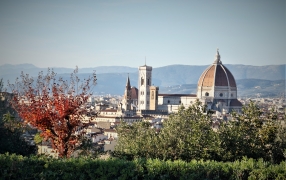  Florence and Museum - 6 hours